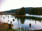 Comox Lake