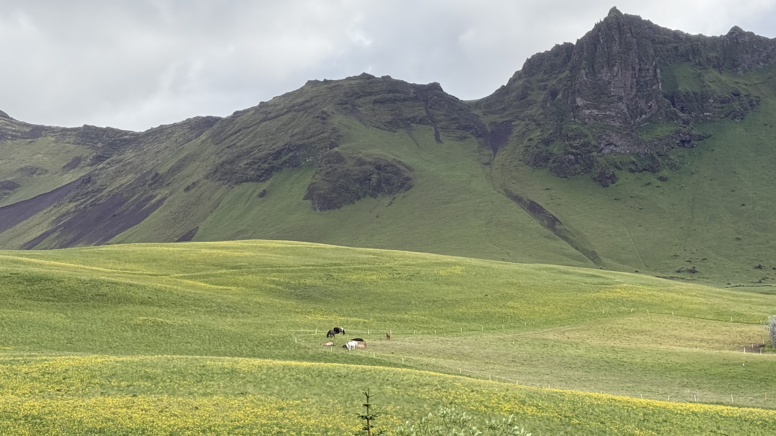 Driving to Sólheimajökull