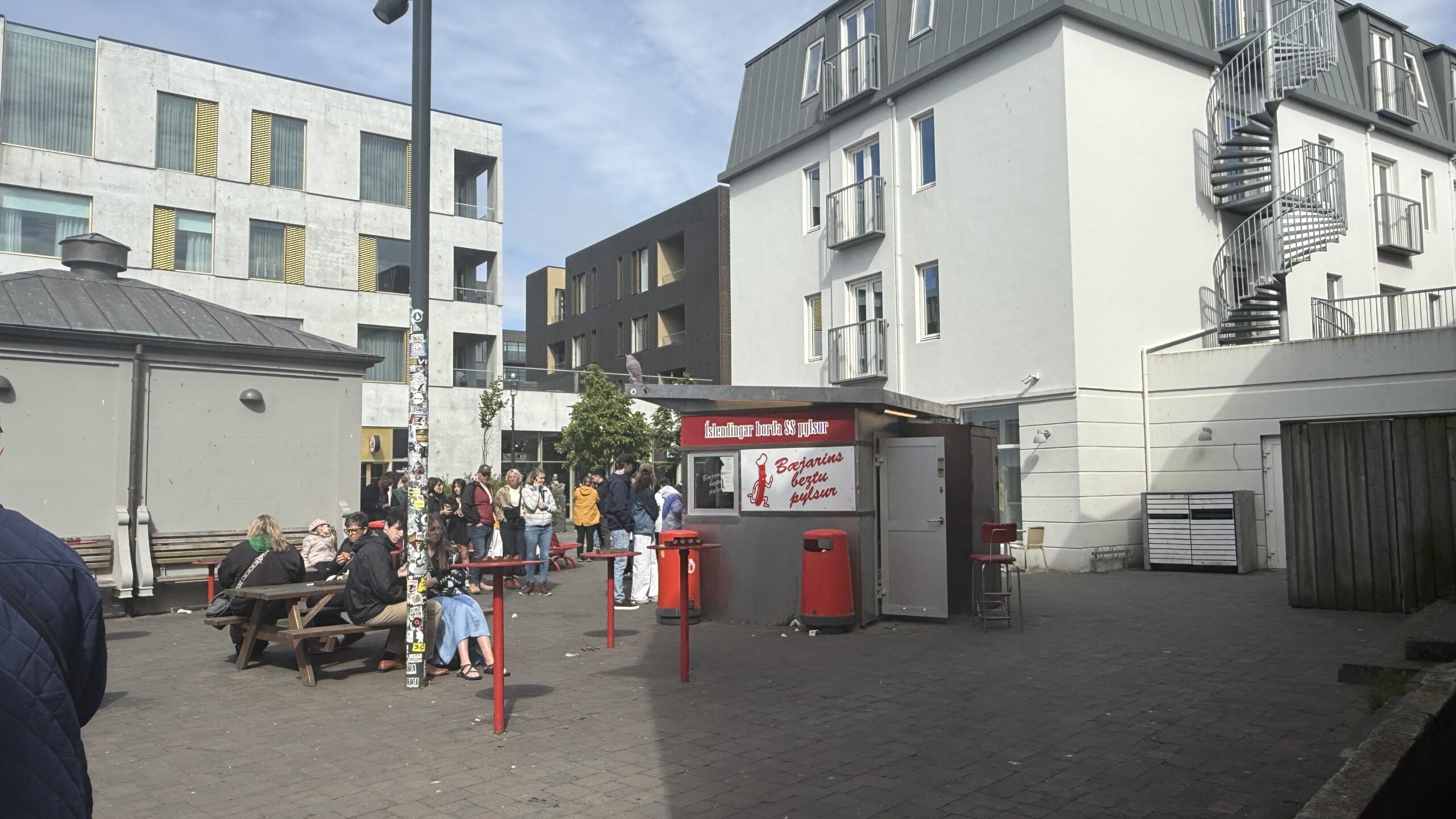 Wake Up Reykjavík Walking Food Tour Hot dogs