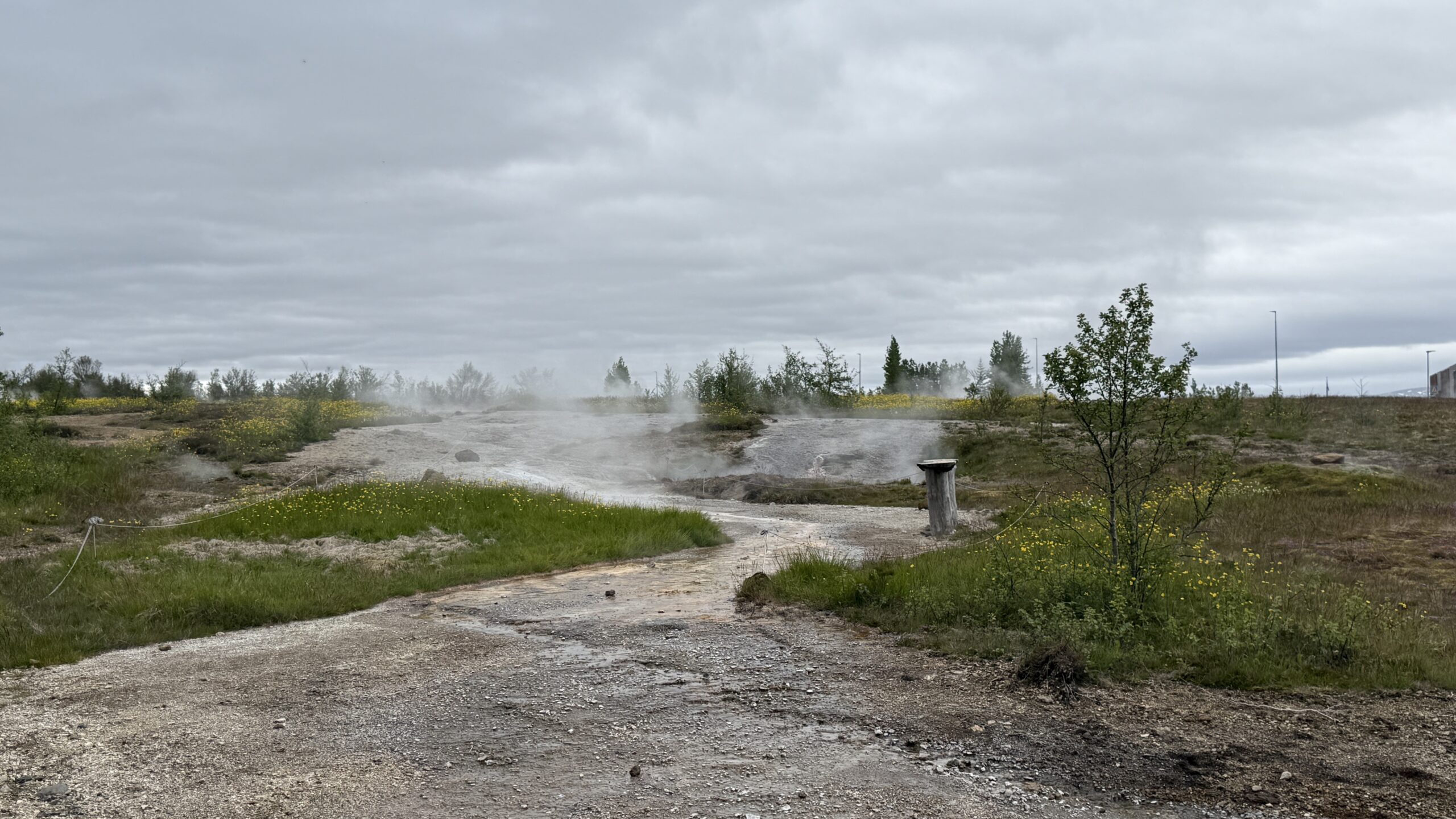 Geyser Geothermal Area