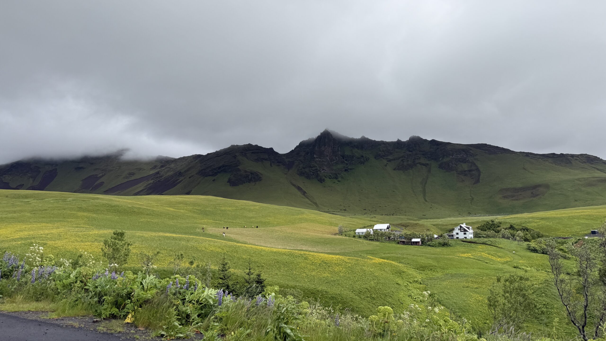 Vík