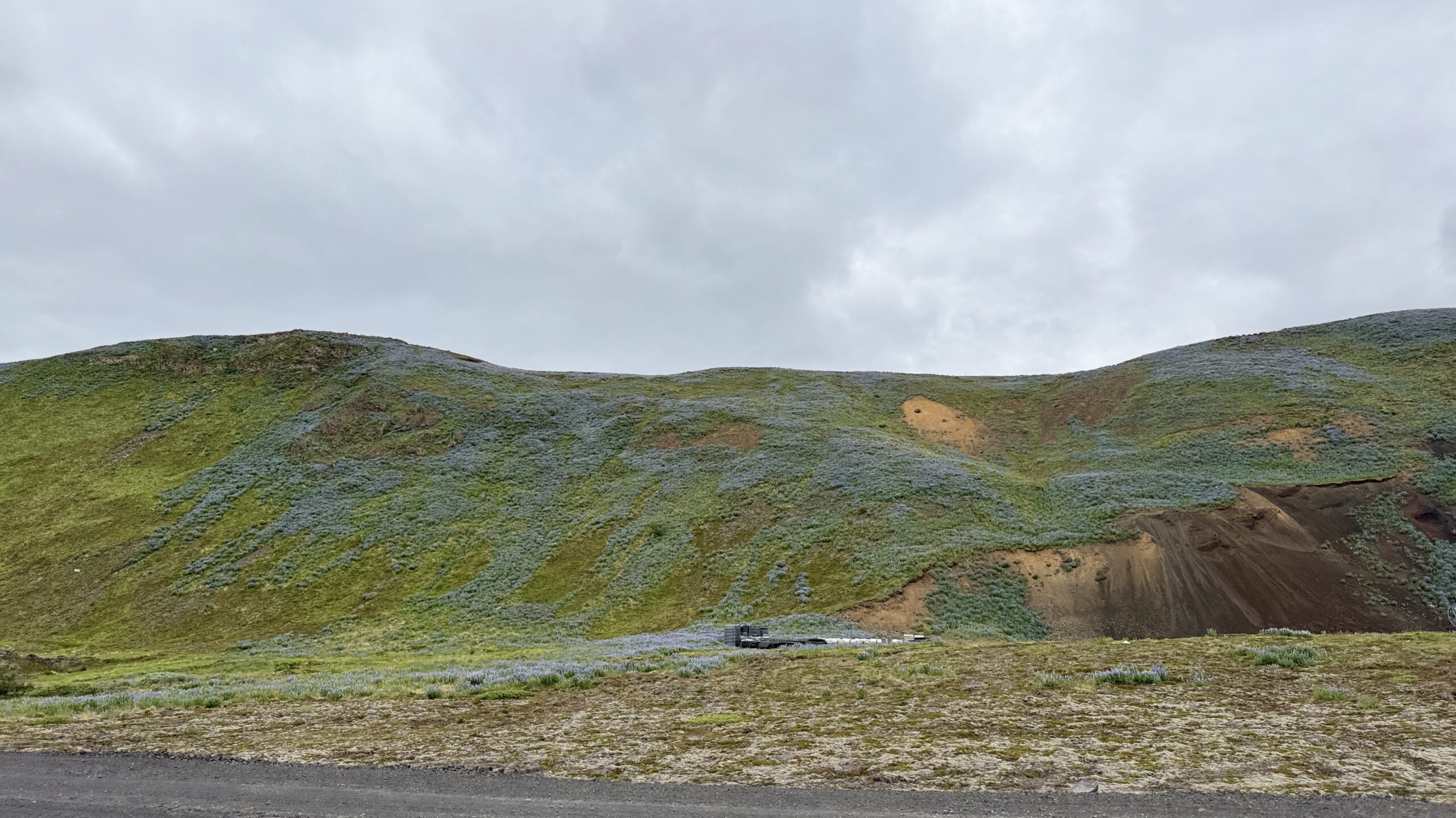 Grindavík